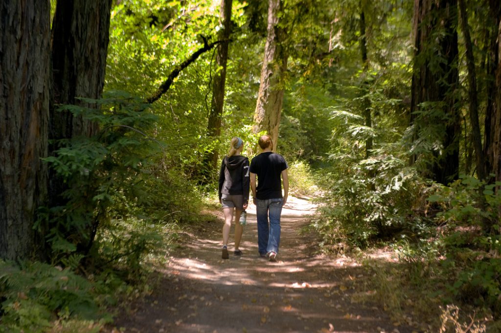 Bothe-Napa Valley State Park