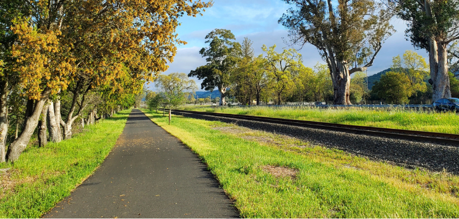 Things to do in Napa Valley with Kids: Napa Valley Vine Trail