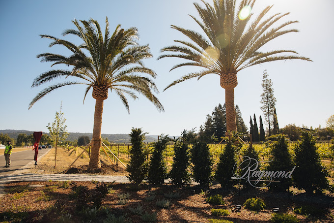 Raymond Vineyards
