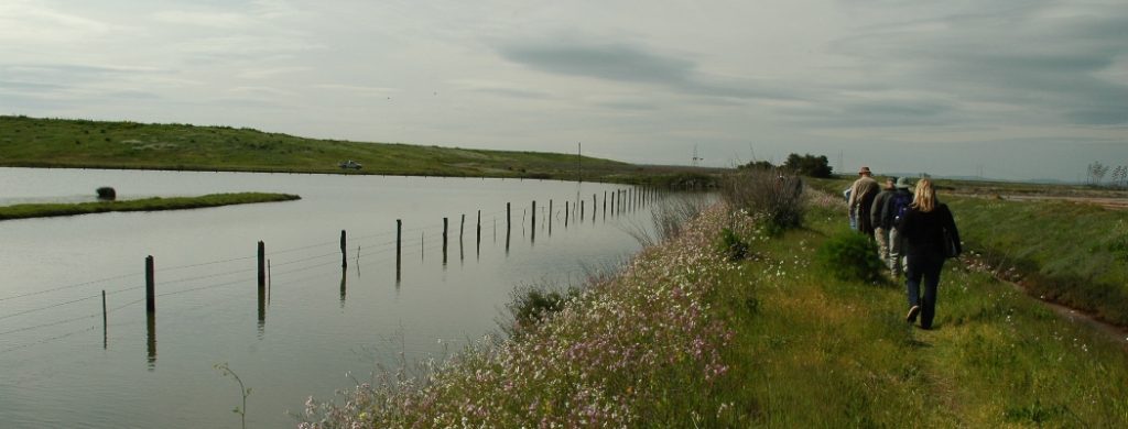 Wetlands Edge Park