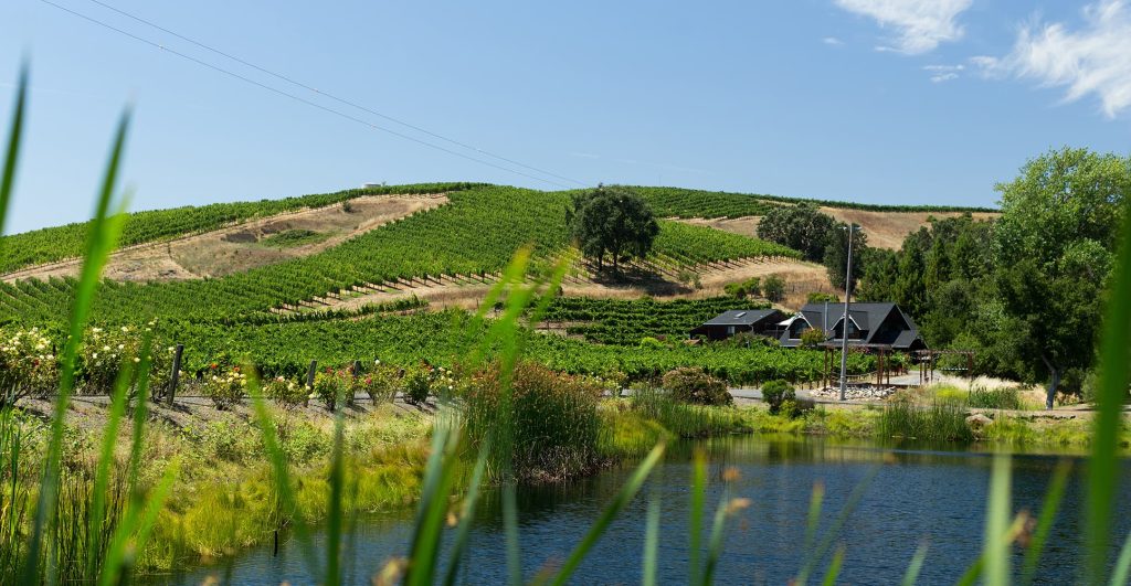 Frisinger Winery