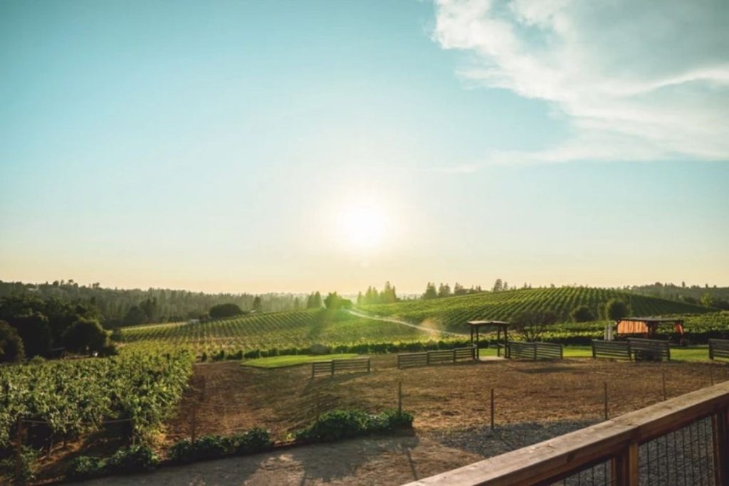 Hendry Winery