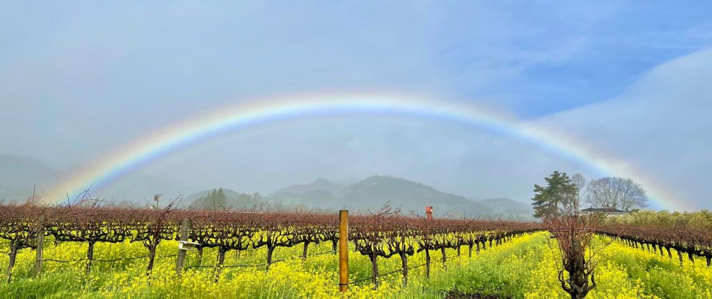 O'Brien Estate Winery