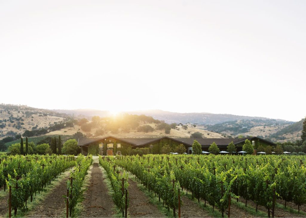 Olney Family Vineyard, Cave and Winery