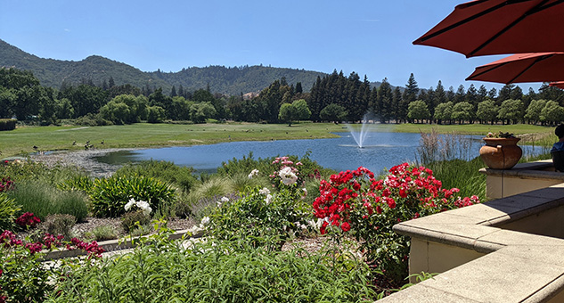 Vintner's golf club