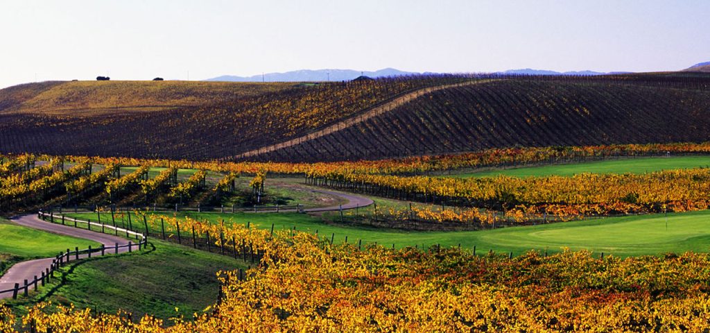 Best Golf Courses in Napa Valley: chardonnay golf club