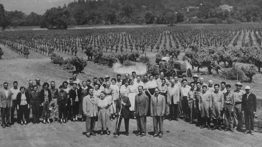 Napa Valley History charles krug winery staff in front of recently planted vineyard