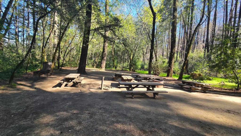 A peaceful campground at Bothe-Napa Valley State Park featuring wooden picnic tables surrounded by towering trees and dappled sunlight filtering through the forest canopy.