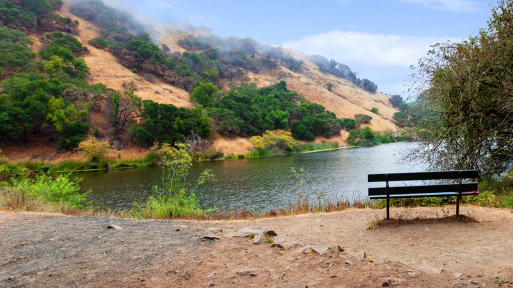 A scenic view at Skyline Wilderness Park showing a wooden bench overlooking a tranquil lake with rolling golden hills and green vegetation under a cloudy sky.