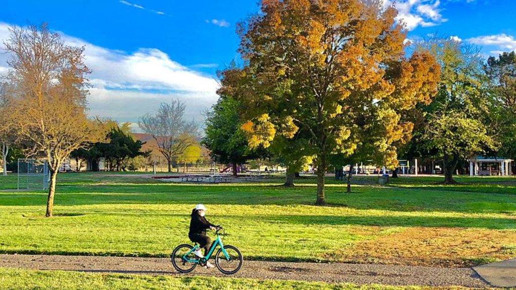 Cyclist riding along the paved Napa River Trail bike trail through a scenic park setting with autumn foliage, mature trees, expansive green lawns, and blue sky with white clouds.