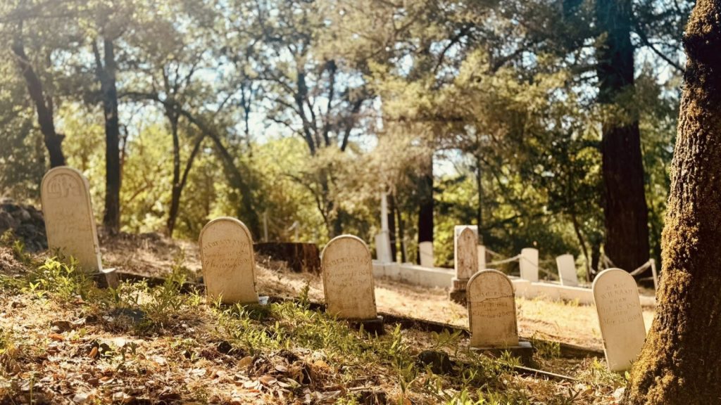 Historic Pioneer Cemetery at Napa Valley State Park featuring weathered sandstone headstones from the 1800s arranged among mature oak trees with golden autumn light filtering through the forest canopy, preserving early settler history.