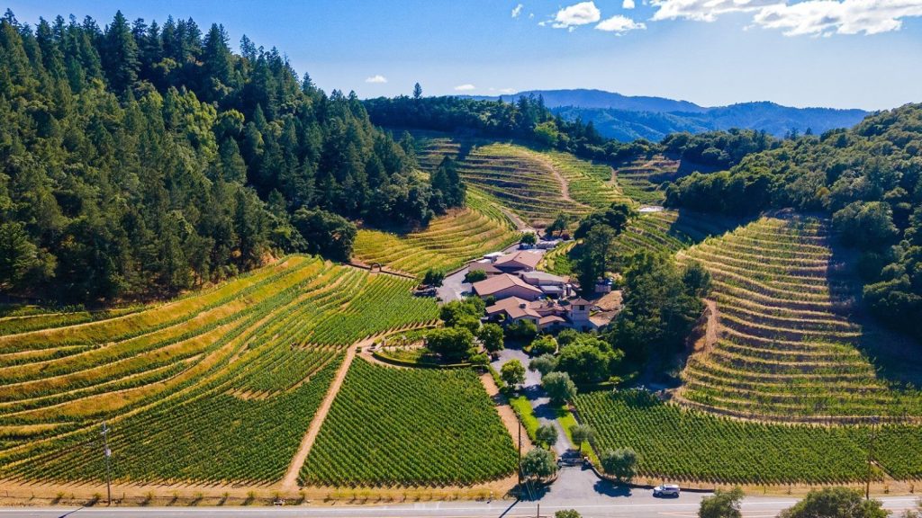 Aerial view of vineyards and rolling hills along Silverado Trail showcasing terraced grapevines on golden hillsides surrounding a winery estate nestled among forested mountains under blue skies with white clouds.