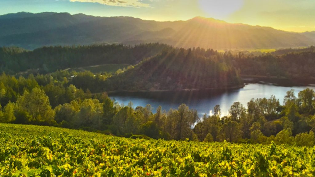 Scenic sunrise view over Howell Mountain vineyards with rolling hills, a tranquil lake, and golden sunlight filtering through the forest canopy.