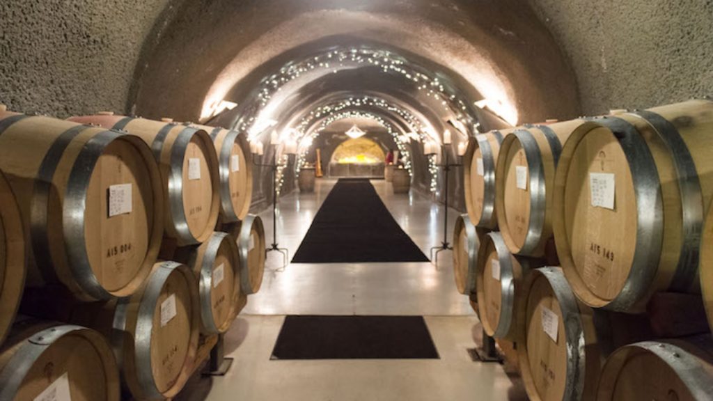 Wine barrels stacked in the arched tunnel of Pine Ridge Vineyards Cave with string lights illuminating the underground cellar and black carpet leading to the tasting area.