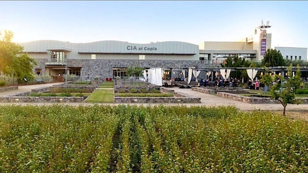 Mustard Celebration at The CIA at Copia featuring modern stone building, outdoor dining terrace with white draping, and green vineyard foreground