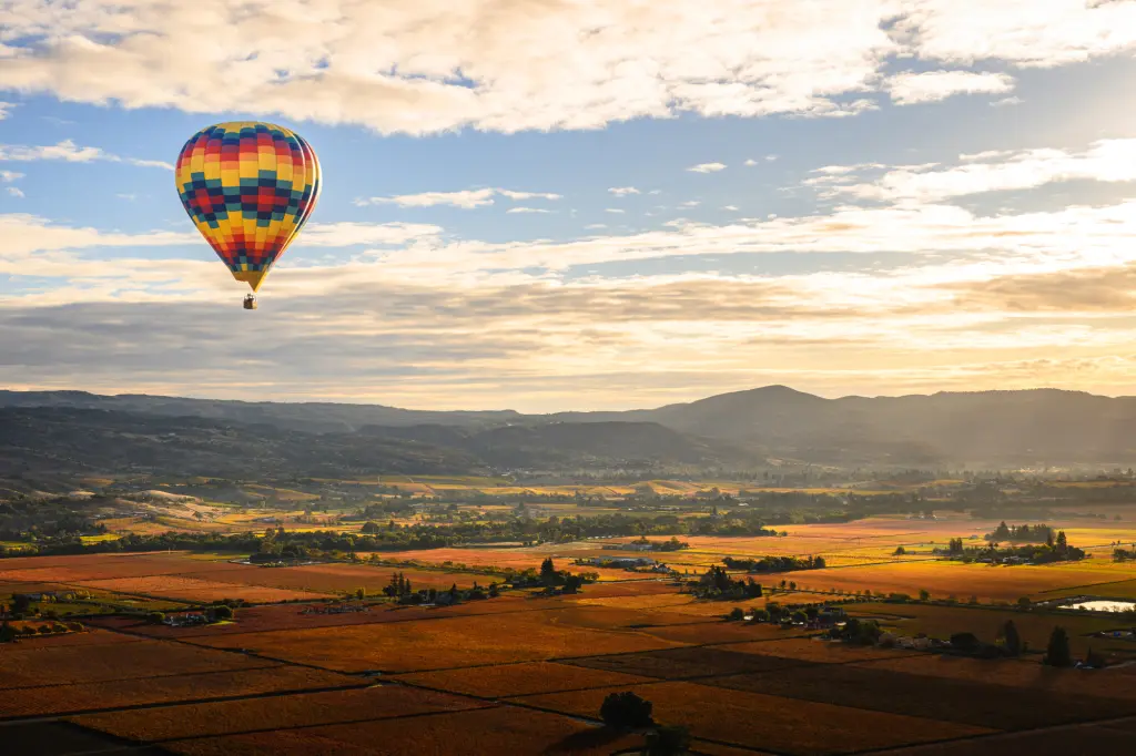 A colorful hot air balloon floating over vineyards at sunrise