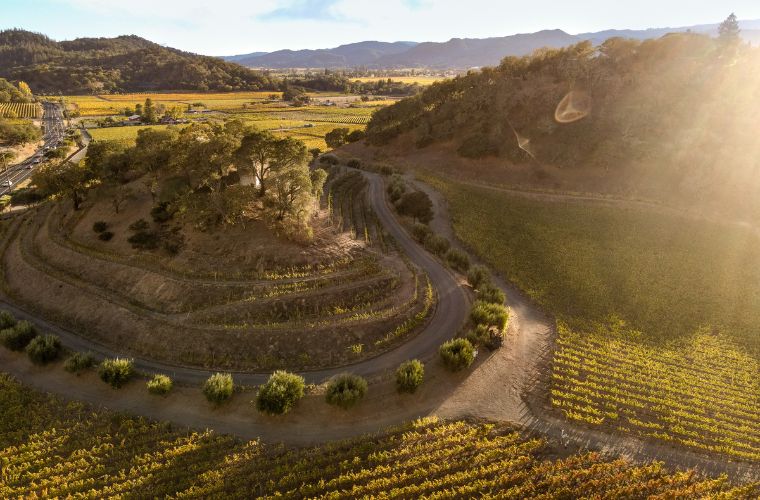 Pine Ridge Vineyards photo