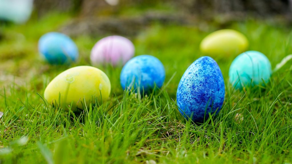 Easter eggs on a lawn - Carneros