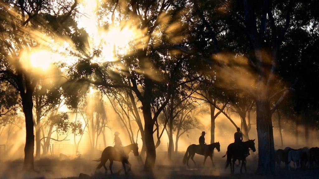 Horseback riders in Sonoma countryside with sunlight streaming through trees