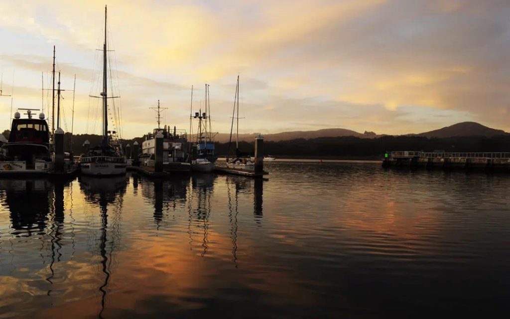 Boats docked at Bodega Bay marina during sunset